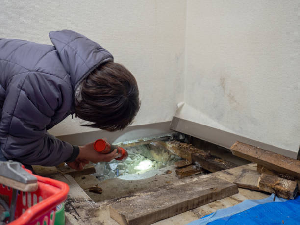 Mold Remediation for Vacation Homes in Chetek, WI