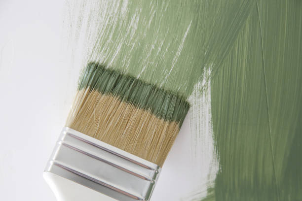 Best Mold Remediation for Vacation Homes  in Chetek, WI