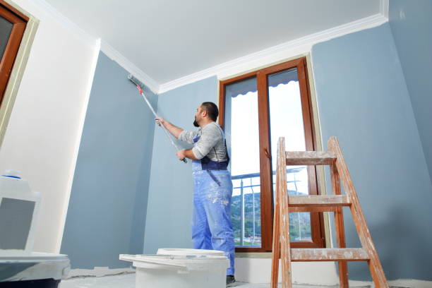 Best Basement Mold Removal  in Chetek, WI