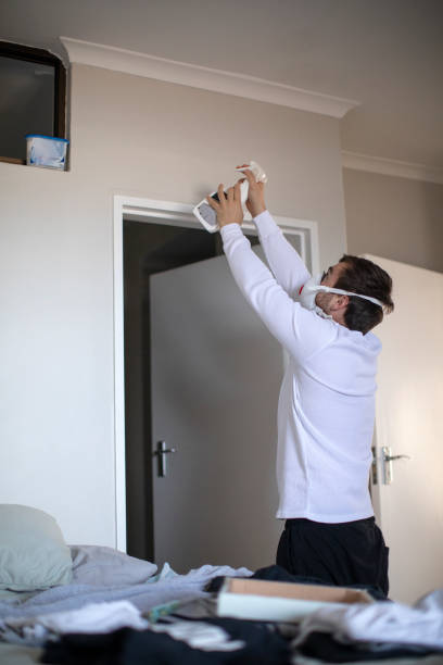 Best Real Estate Mold Inspection  in Chetek, WI