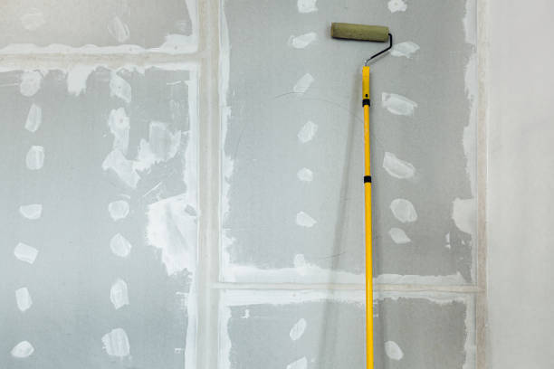 Best Mold-Related Health Consultation  in Chetek, WI
