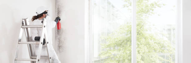Best Mold Documentation for Insurance Claims  in Chetek, WI