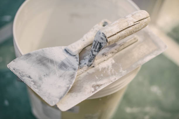 Best Mold Remediation for Healthcare Facilities  in Chetek, WI