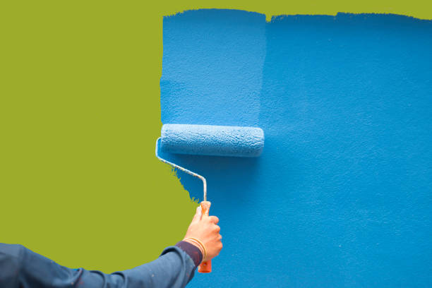 Best Black Mold Removal  in Chetek, WI