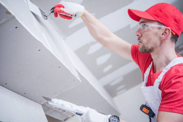 Best Comprehensive Air Testing for Mold Contaminants  in Chetek, WI