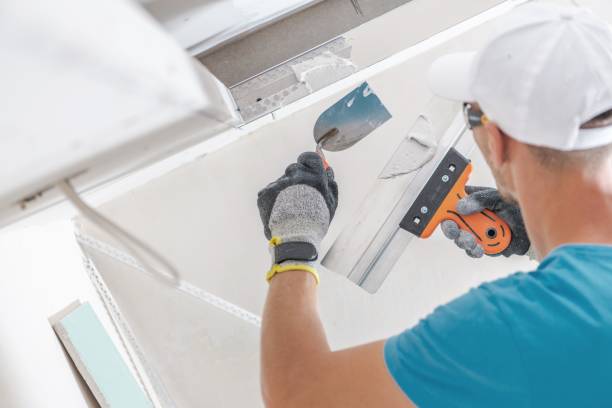 Best Asbestos and Lead Testing During Mold Inspection  in Chetek, WI